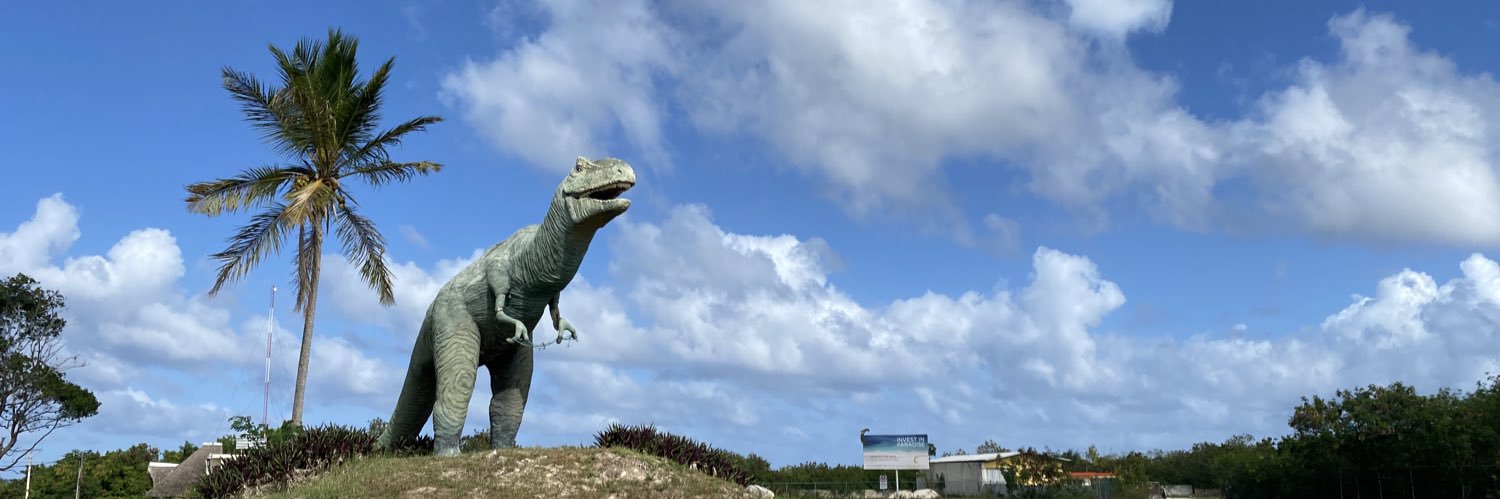 Heather Tal Murphy banner