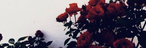 0pera__Gh0st Profile Banner