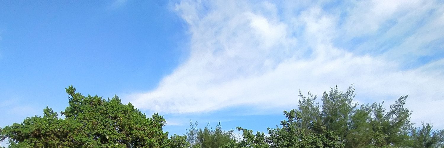 bukanfarasya's profile banner image