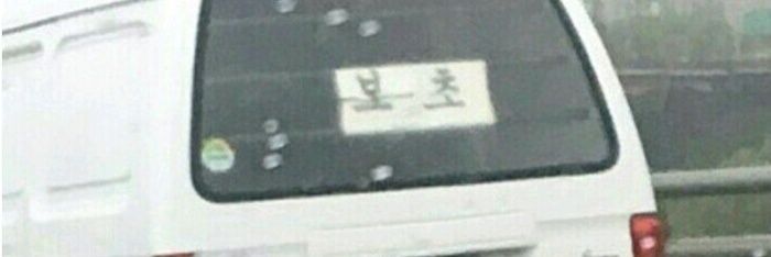 보초's banner