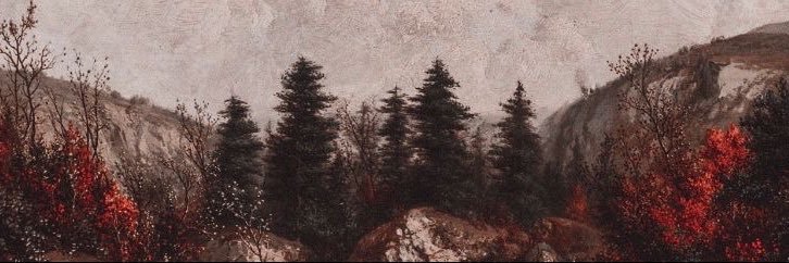 andy 🐈 banner