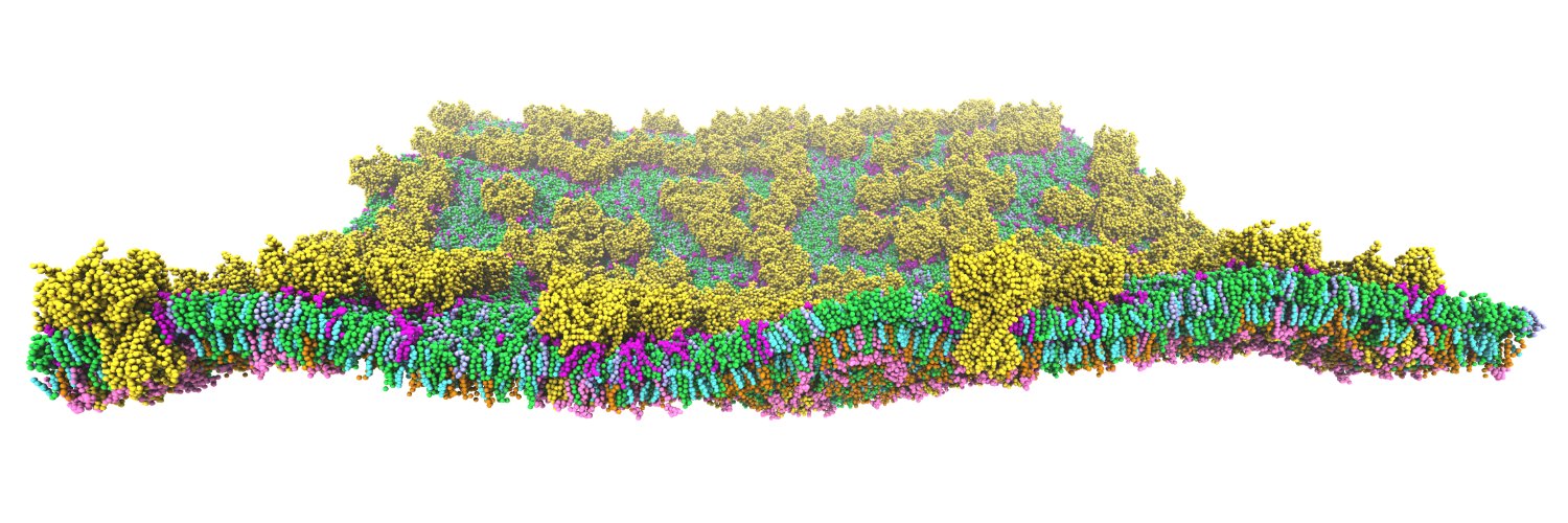 Robin Corey @robincorey.bsky.social banner