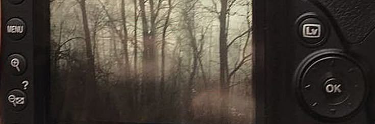 meli ᖭི༏ᖫྀ ꩜ banner