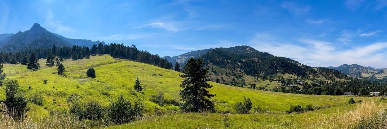 Vera Andersen. banner