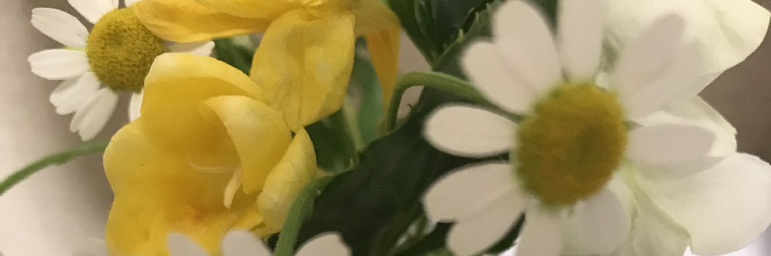 izuminie's profile banner image