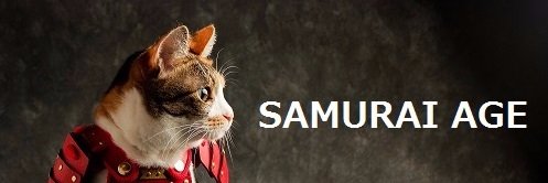 the_samurai_age's profile banner image