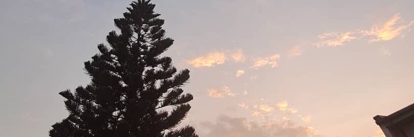 Q.qeeyat🌺🌺 banner