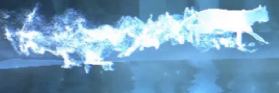 SHOcherry1933's profile banner image