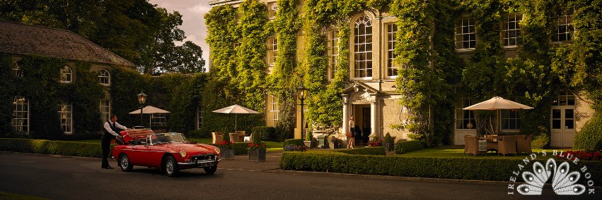 Ireland's Blue Book banner