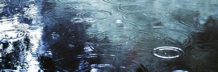 ☂︎ ⌞ liv⁷ - 988 twt ⌝ ☔︎︎'s banner