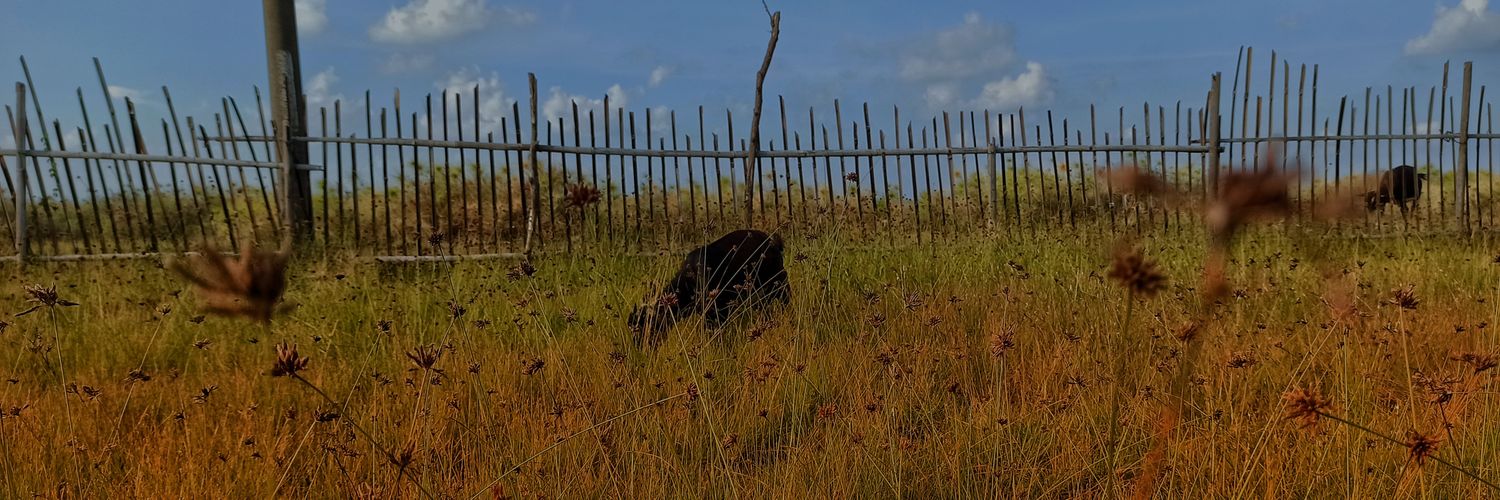 λmαηdαs13 banner