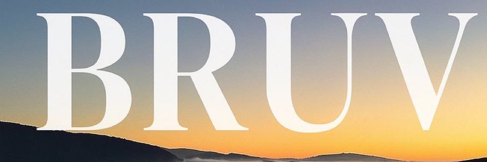 Luis From peace banner