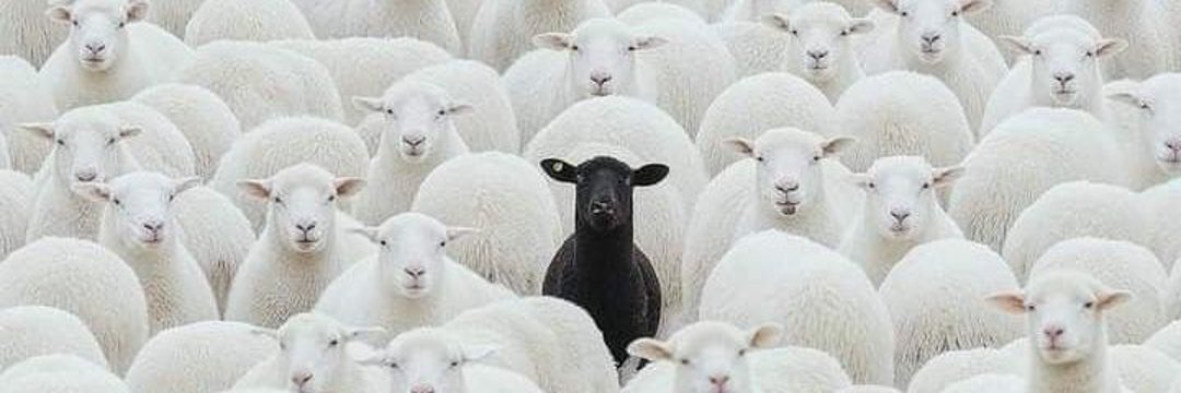 Wesley Eugene banner