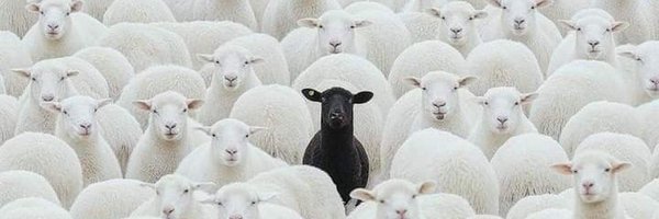 EugeneDevWesley Profile Banner