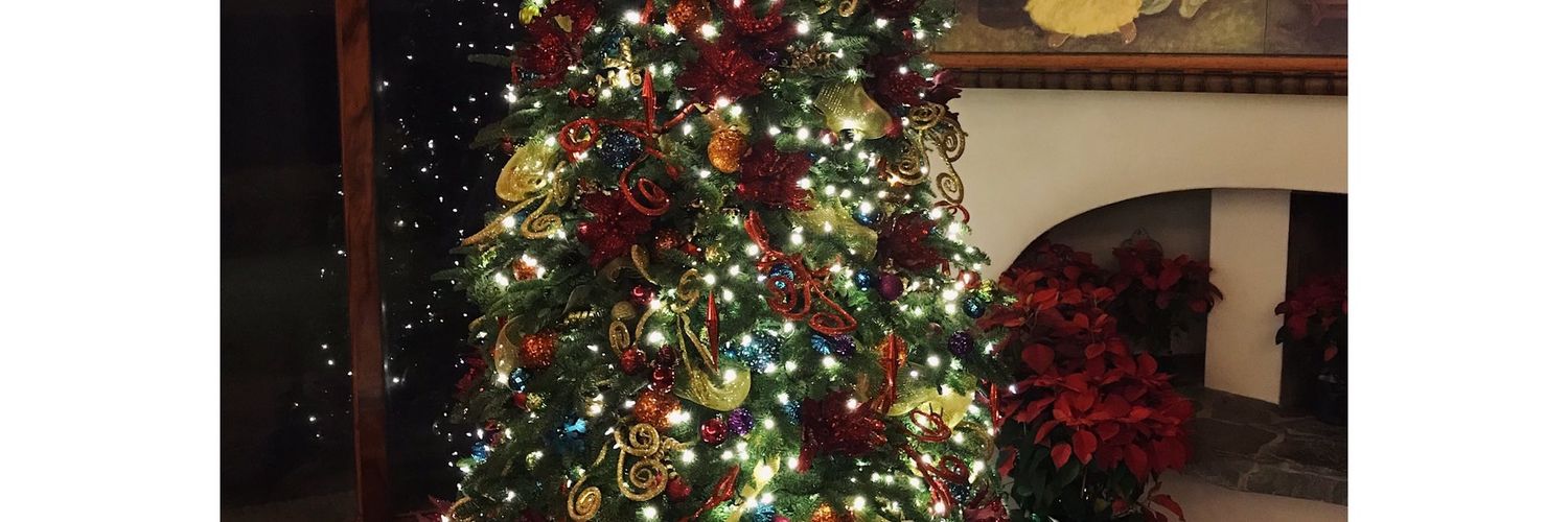 FelixEmori's profile banner image