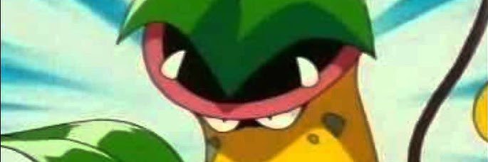 Victreebel banner
