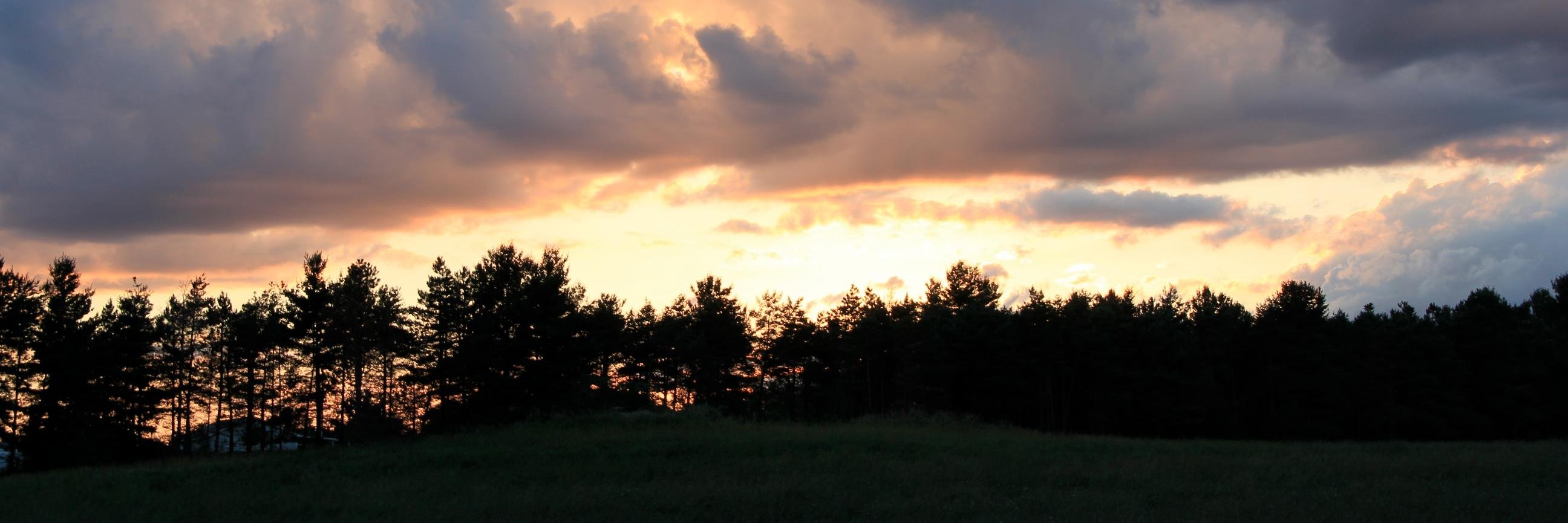 rawkinsey's profile banner image