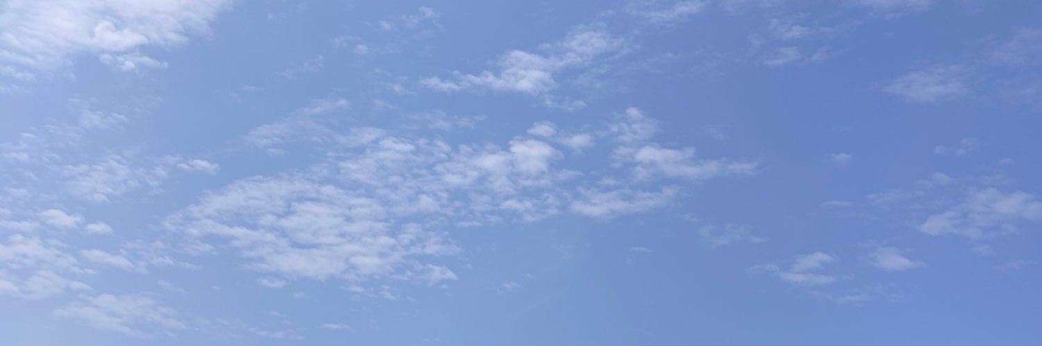 rednailcherrywine banner