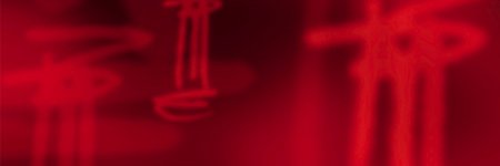 Laural Carr banner