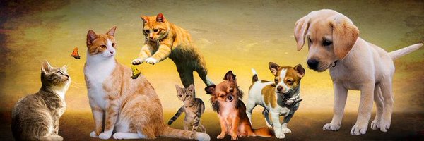 NatureVibes_1 Profile Banner