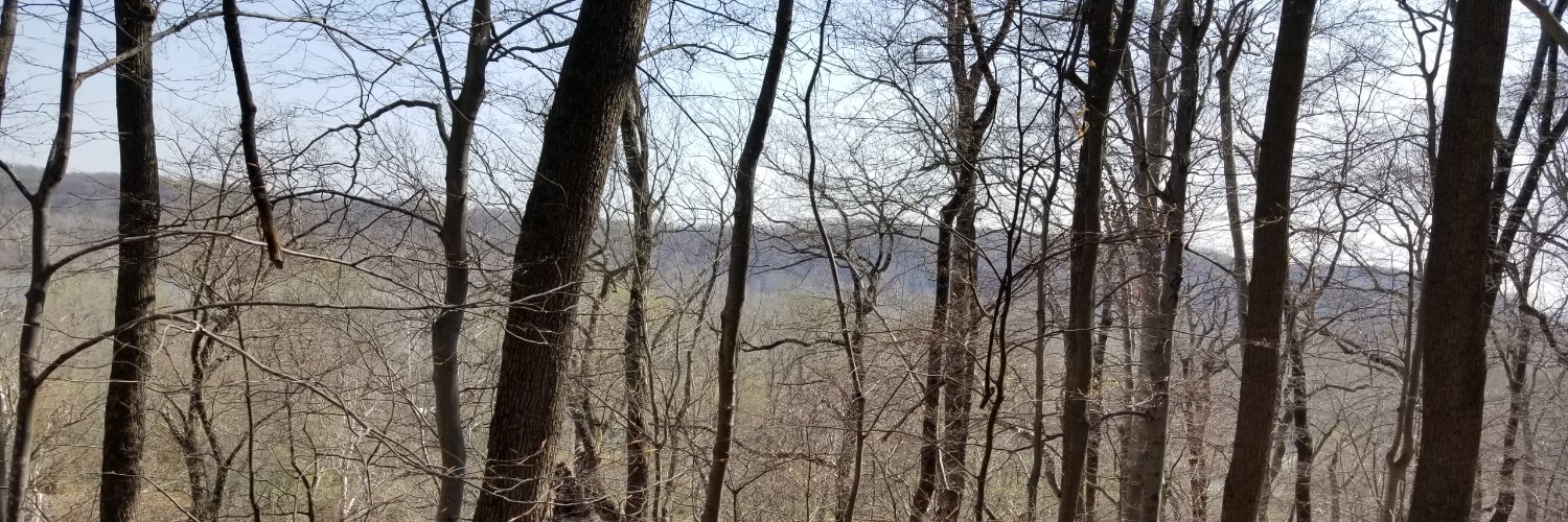 UltraLight14445's profile banner image