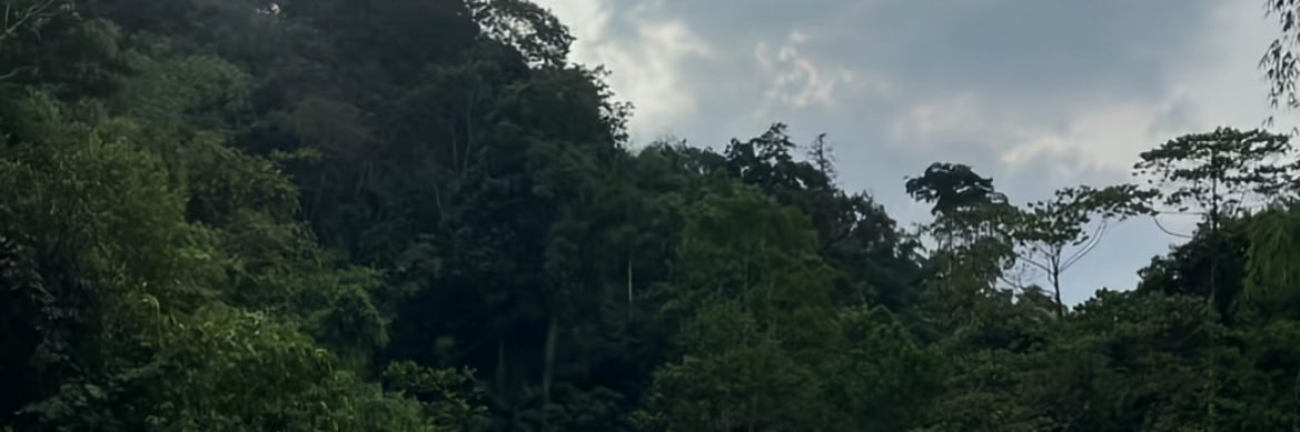 danzamrr's profile banner image