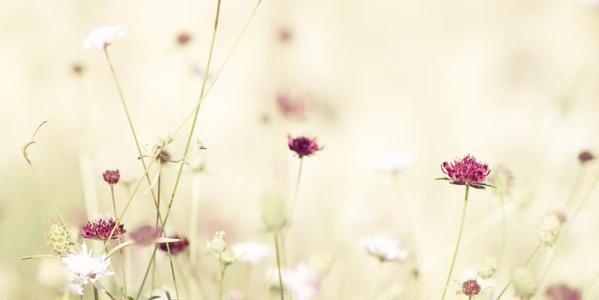 DyahSekar11's profile banner image