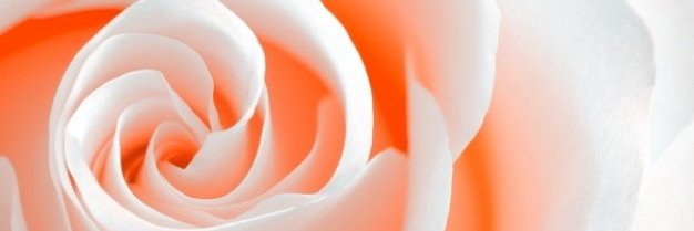 Mewuri's profile banner image
