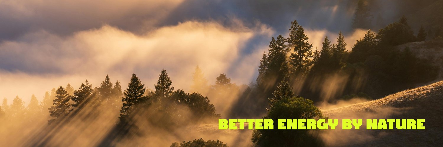 PANSOGAL's profile banner image