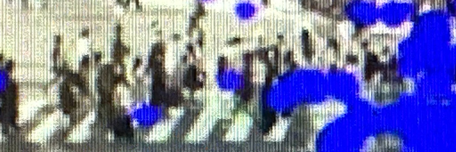 NET Society's banner