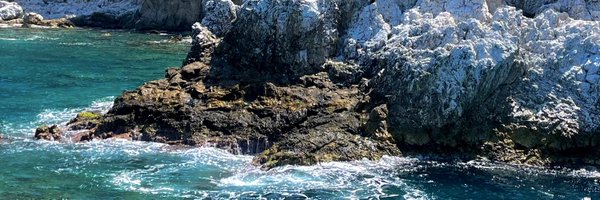 domfuts Profile Banner