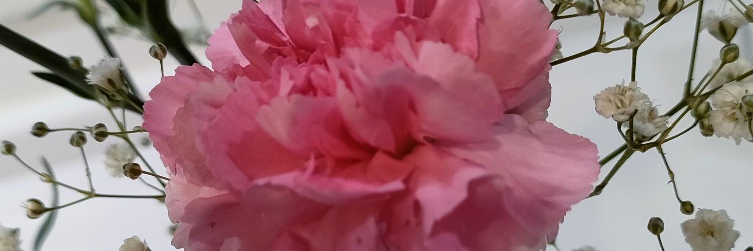 TokoToko105's profile banner image