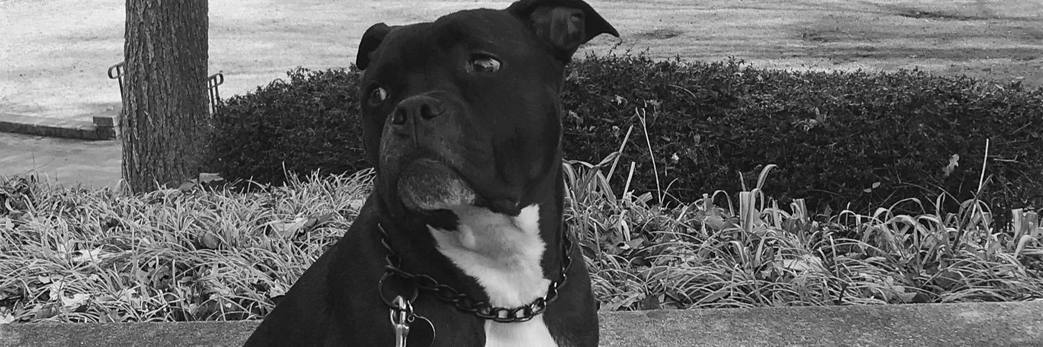 sherryparis's profile banner image