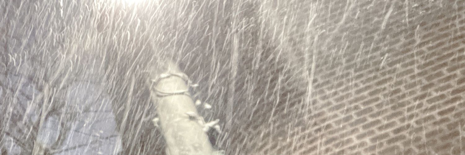 Ericaeriz's profile banner image