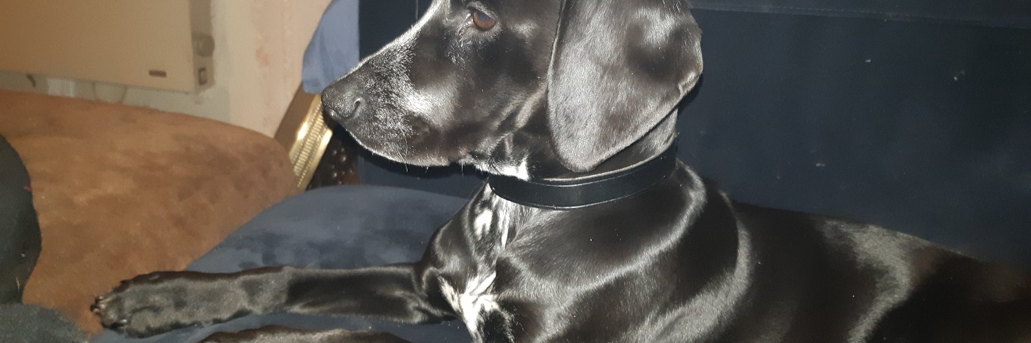 FroodOfHoops's profile banner image