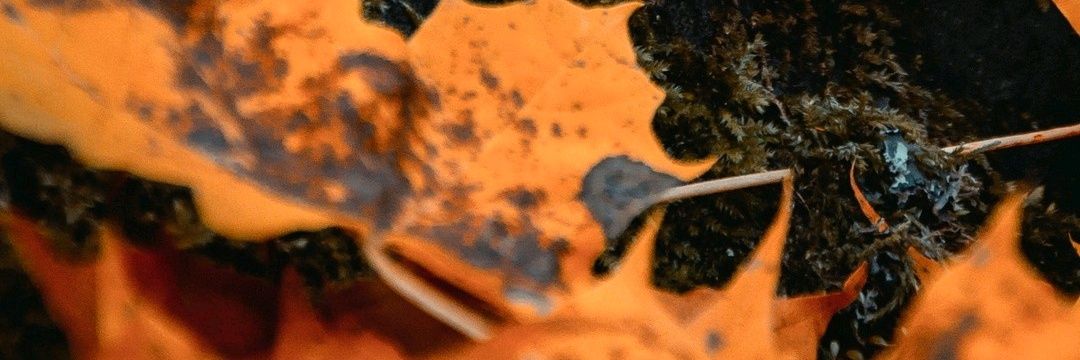 akilsizz's profile banner image