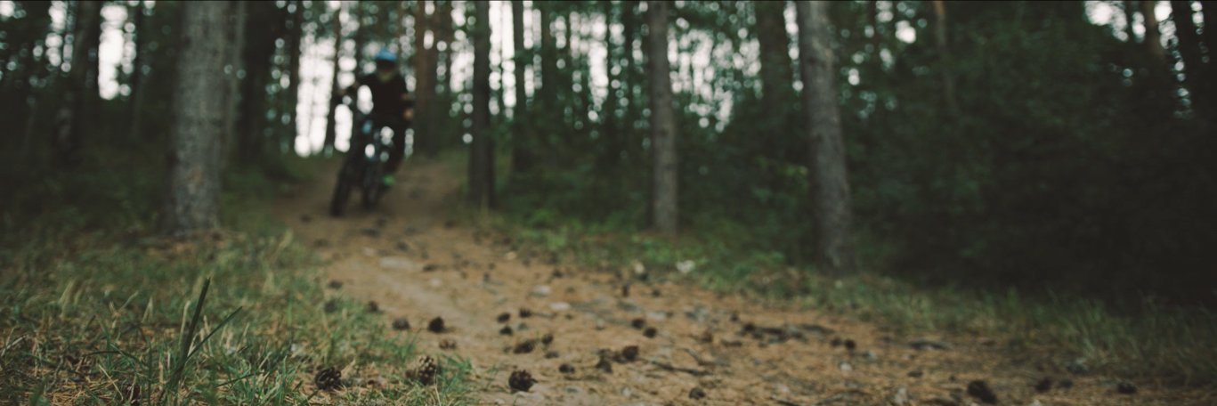 fwolbe's profile banner image