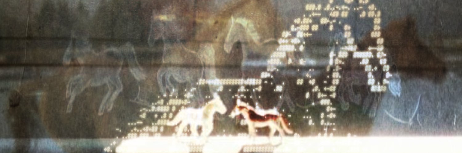 schizoblond's profile banner image