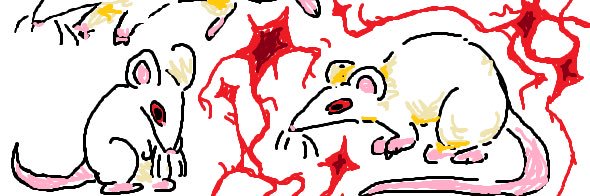 ♦︎ banner