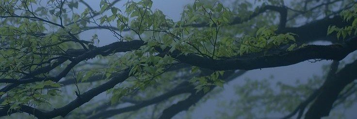 govlol's profile banner image