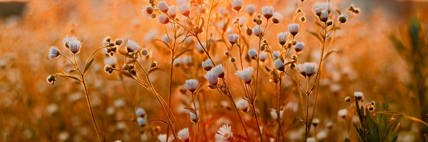 StoffleG90260's profile banner image