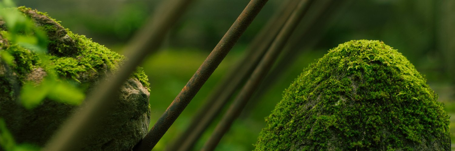 a900er's profile banner image