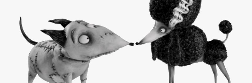 aloserlikeme's profile banner image