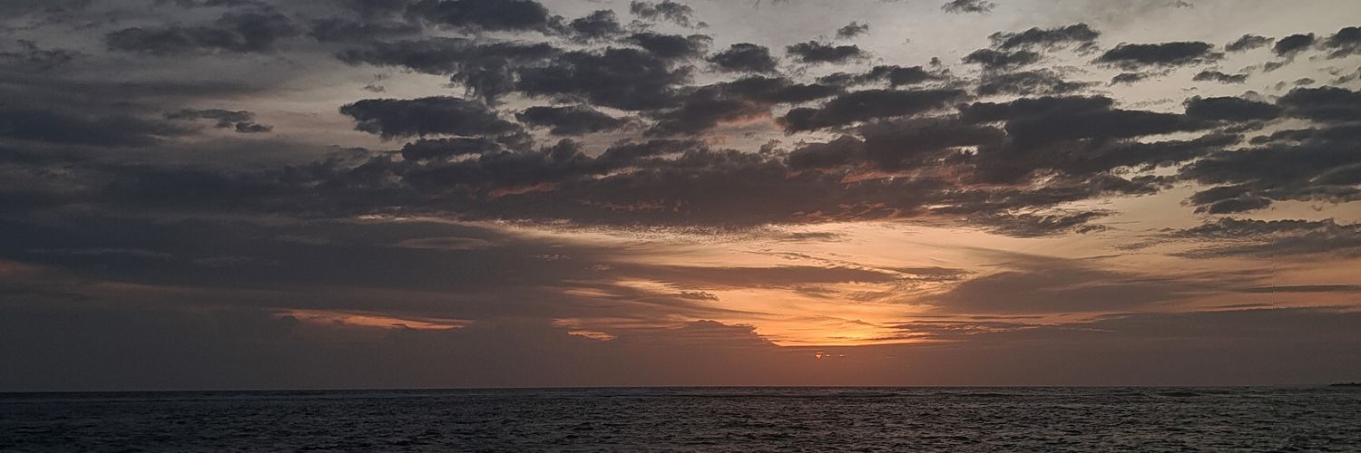 Novalia59's profile banner image