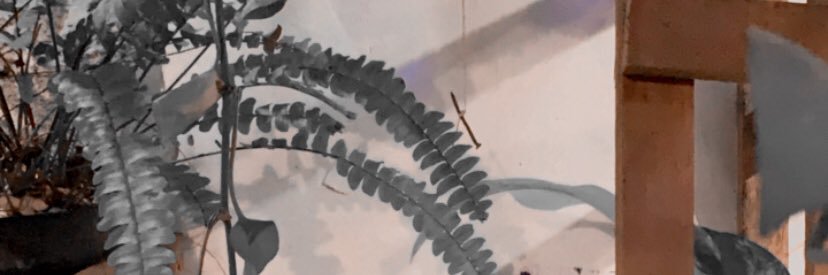 alfonsodeniobk's profile banner image