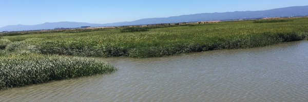 HobbsLab Profile Banner