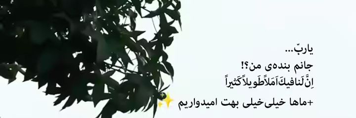 ام البنین🌱's banner