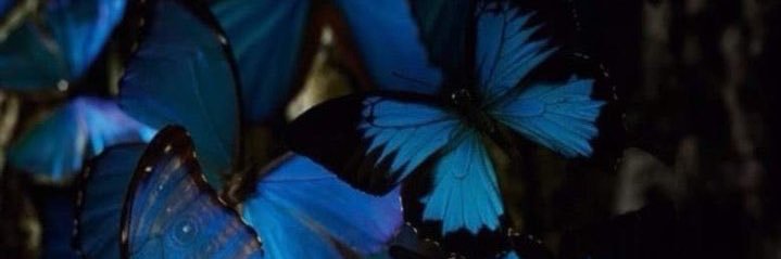 AroaaCabrera's profile banner image