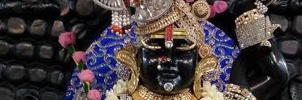 ShreyPatel2428 Profile Banner