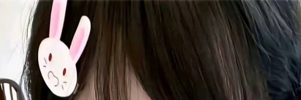 re banner